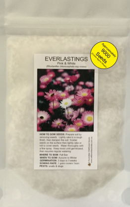 Everlastings Bulk Pack 9000