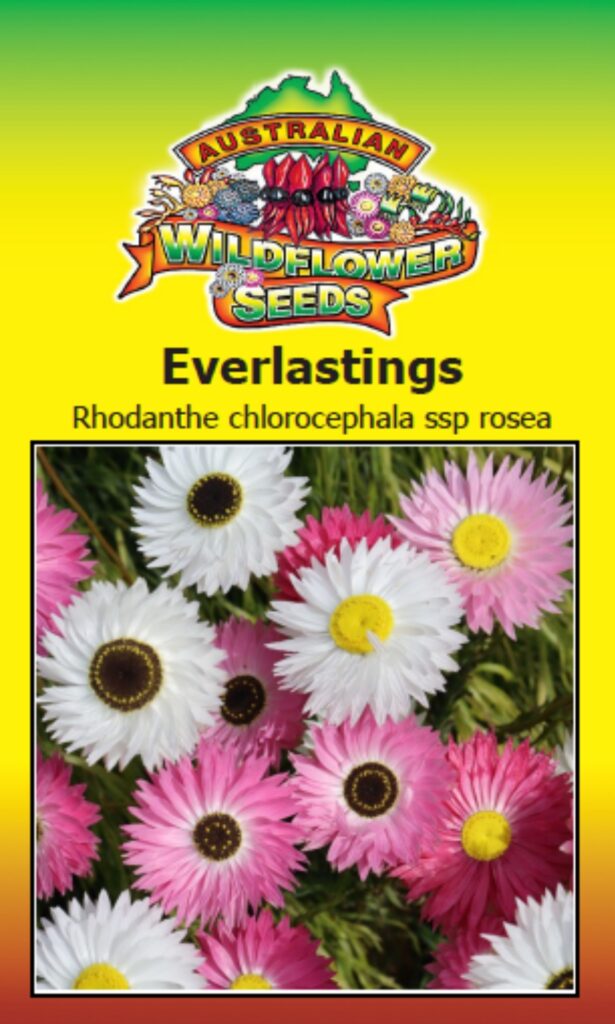 Everlastings (Pink & White) Australian Wildflower Seeds