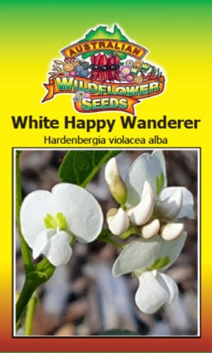 Hardenbergia violacea alba