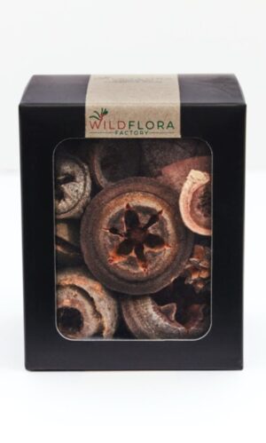 Wildflora Pods - Bush Collection - Gift Boxed Large Mixed Pods 250grams