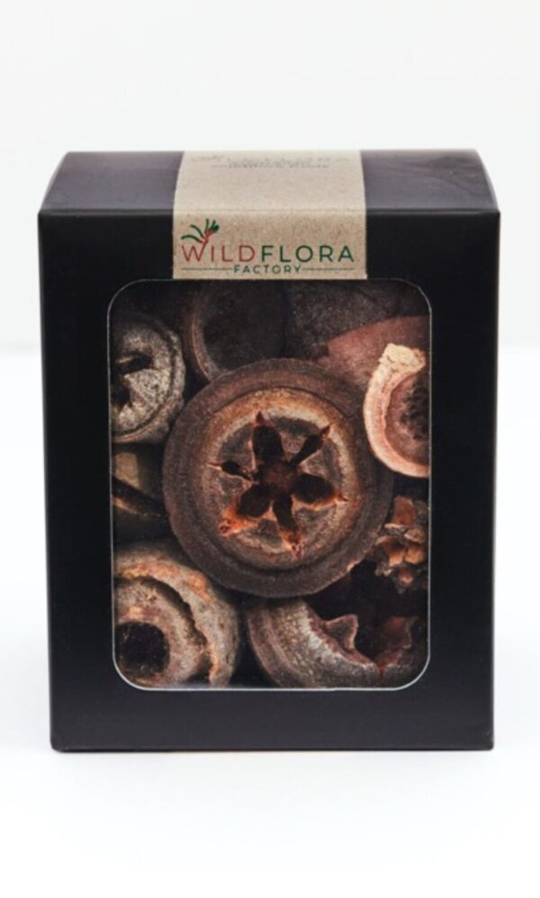 Wildflora Pods - Bush Collection - Gift Boxed Large Mixed Pods 250grams