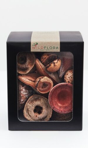Wildflora Pods -Bush Collection - Gift Boxed Large Mixed Pods 360 grams